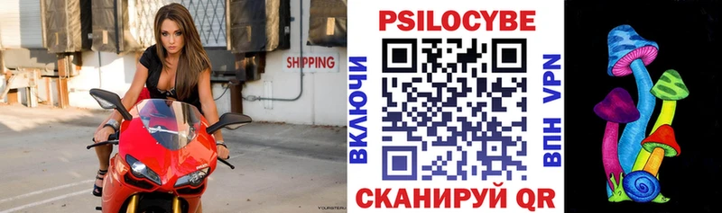 Псилоцибиновые грибы Psilocybine cubensis  как найти закладки  mega   Снежинск 